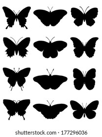 Black silhouettes of butterflies, vector