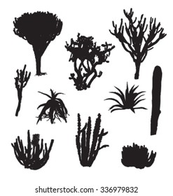 Black silhouettes of cacti and aloe.