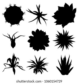 Black silhouettes of cactus, agave, aloe, and prickly pear. Cacti set. Vector.