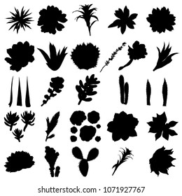 Black silhouettes of cactus, agave, aloe, and prickly pear. Cacti set. Vector.