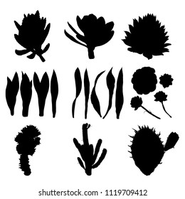 Black silhouettes of cactus, agave, aloe, and prickly pear. Cacti set. Vector.