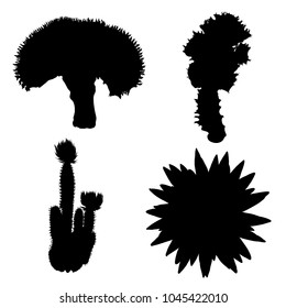 Black silhouettes cactus fashion set design. Cacti mood collection. Sketchy hand drawn style illustration. Succulent terrarium collection. Wild floral exotic tropical forest. Vector.