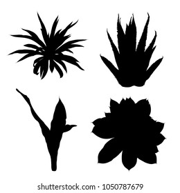 Black silhouettes cactus fashion set design. Cacti mood collection. Sketchy hand drawn style illustration. Succulent terrarium collection. Wild floral exotic tropical forest. Vector.