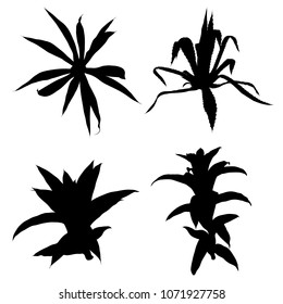 Black silhouettes cactus fashion set design. Cacti mood collection. Sketchy hand drawn style illustration. Succulent terrarium collection. Wild floral exotic tropical forest. Vector.