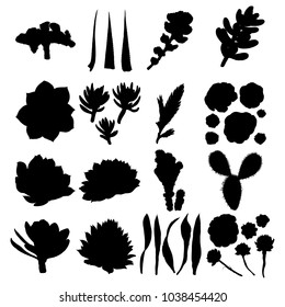 Black silhouettes cactus set. Hand drawn plants. Exotic floral sketch illustration collection. Different cactuses in monochrome style. Vector.