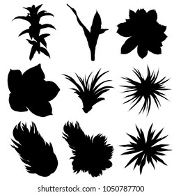 Black silhouettes cactus set. Hand drawn plants. Exotic floral sketch illustration collection. Different cactuses in monochrome style. Vector.