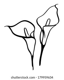 Black silhouettes of calla lilies. Vector illustration on white background.