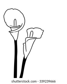 Black silhouettes of calla lilies. Vector illustration on white background.