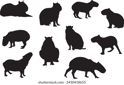 Black silhouettes of capybara in different poses isolated on white background. Sitting, going, standing, eating, lying. Rodent. Wild or domestic animals. Vector realistic illustrations