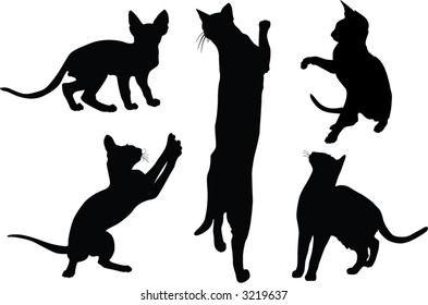 black silhouettes of cats and kitten