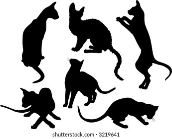 black silhouettes of cats and kitten