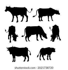 Black silhouettes of cattle - cows, calves and bulls. Agriculture farm with domestic animals for milk and meat. Set of vector isolated illustrations for design of logo or package