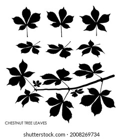 Black silhouettes of CHESTNUT tree leaves isolated on white. Autumn fallen leaves of CHESTNUT tree. Vector