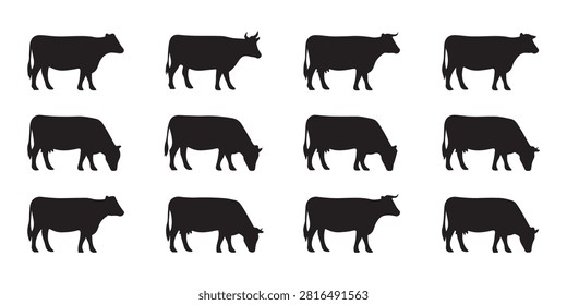 Black silhouettes of cows standing and grazing. Agriculture livestock icons. Dairy farm animal graphics.