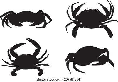 Black silhouettes of crab in different angles isolated on a white background. Wild marine animals. Vector realistic illustrations
