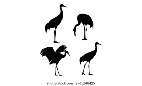 Black silhouettes of cranes showcase diverse behaviors like standing, feeding, and flying against a plain background.