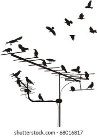 black silhouettes of the crows on the television antenna