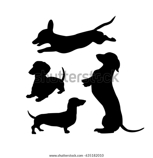 白い背景に黒いダッチャンド犬のシルエット かわいいデザインのベクターイラスト のベクター画像素材 ロイヤリティフリー
