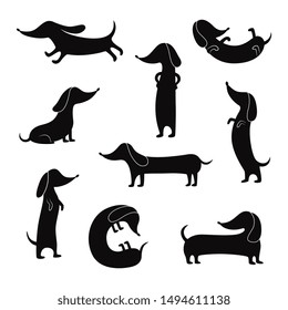 Black silhouettes of dachshunds dogs in various funny poses set of vector illustrations isolated on a white background. Cute puppy outline contour images collection.