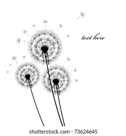 black silhouettes of dandelions