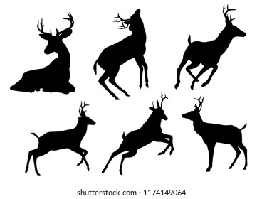 Black silhouettes of deer in different poses isolated on white background. Wild forest animals. Vector realistic illustrations