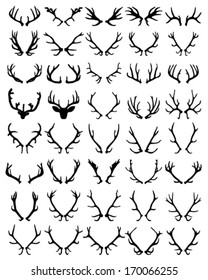 Black Silhouettes Of Different Deer Horns, Vector