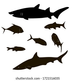 Black silhouettes of different fish on a white background. Set of fish silhouettes. Vector illustration. Inhabitants of the deep sea. Shark. Sturgeon.