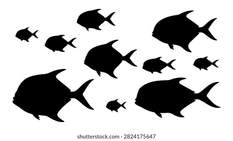 Black silhouettes of different fish species swimming together in water, showcasing aquatic life diversity and movement in a natural environment.