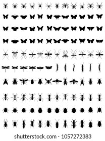 Black silhouettes of different insects on a white background