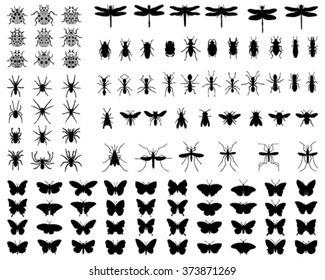 Black silhouettes of different insects, vector