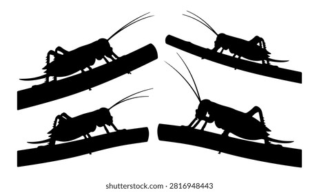 Black silhouettes of different mice positioned on slanted surfaces, showcasing diverse postures and orientations in a minimalistic style.