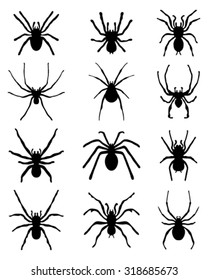 Black silhouettes of different spiders, vector