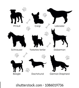 Black silhouettes of dogs on a white background. Schnauzer, Pit bull, Beagle, Dachshund, German Shepherd, Corgi, Yorkshire terrier, Labrador, Doberman. Set of vector illustration.