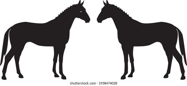 black silhouettes of a dressage horse. Vector illustration set