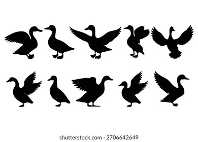 Black silhouettes of ducks in various poses white background