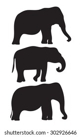 black silhouettes of elephants
