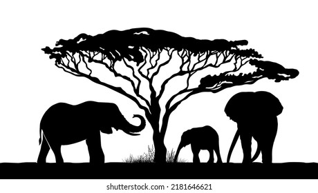 Black silhouettes of elephants in Africa. Vector illustration