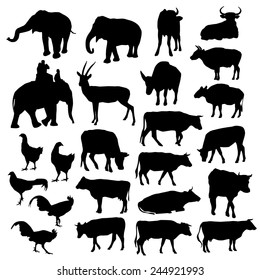 Black silhouettes of elephants, cows, bulls, chickens, deer on white background. vector