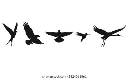 Black silhouettes of five different birds of prey, flying swallows, hummingbirds, and cranes soaring in a majestic row.