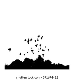 black silhouettes of a flock of doves (Columba livia) flying over the trees on a white background.
