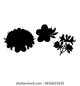 Black silhouettes of a flower and leaf botanical elements on a white background, emphasizing natural plant shapes and forms.