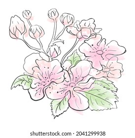 Black silhouettes of flowers, buds and leaves isolated on a white background. Hand sketch flowers with watercolor brush strokes