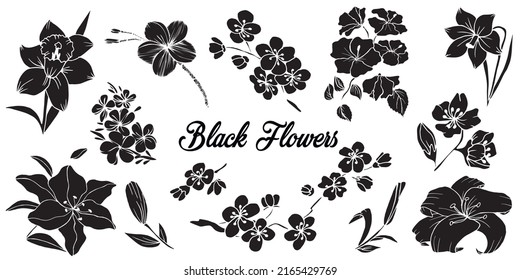 Black silhouettes of flowers. Hand drawn set of design elements isolated on white background.