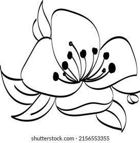 Black silhouettes, flowers and herbs isolated on white background. Hand drawn sketch flower