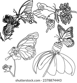 Black silhouettes of flowers and herbs isolated on white background. Hand drawn sketch flowers 