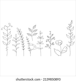 Black silhouettes of flowers and herbs. Minimalistic simple floral elements. Botanical natural. Graphic sketch. Hand drawn flowers. Outline, line, doodle style. Vector Illustration. 