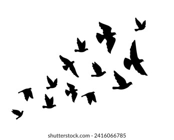 Siluetas negras de aves voladoras sobre un fondo blanco. Ilustración del vuelo negro de silueta, vector monocromo de ave pichón