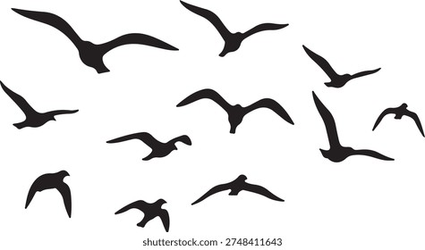 Black silhouettes of flying seagulls flock isolated on white background.
