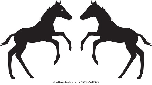 black silhouettes of foals. Vector illustration set
