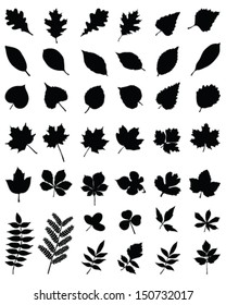 Black silhouettes of foliage-vector